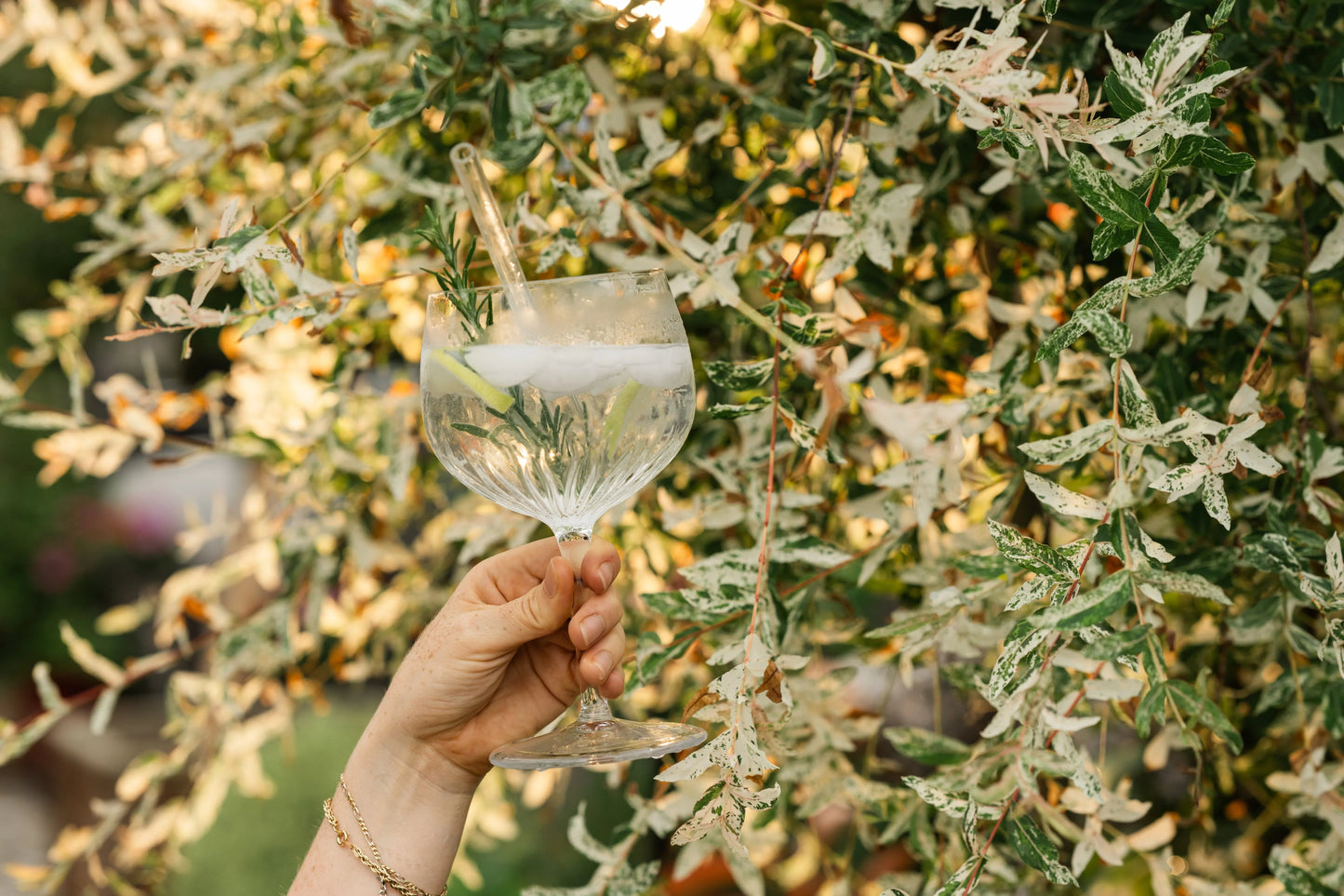 Seasonal Botanicals: How Alpine Ingredients Change Throughout the Year - Bel Nada 